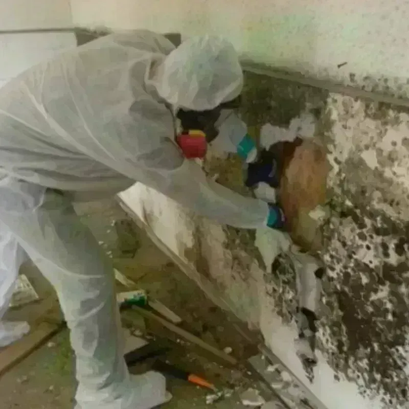 Best Mold Remediation and Removal Service in Lyndhurst, VA