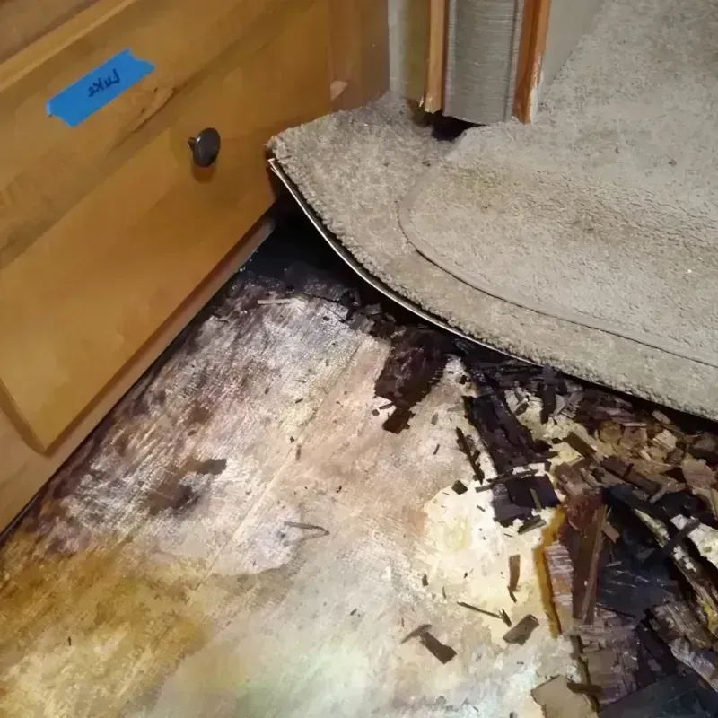 Wood Floor Water Damage in Lyndhurst, VA